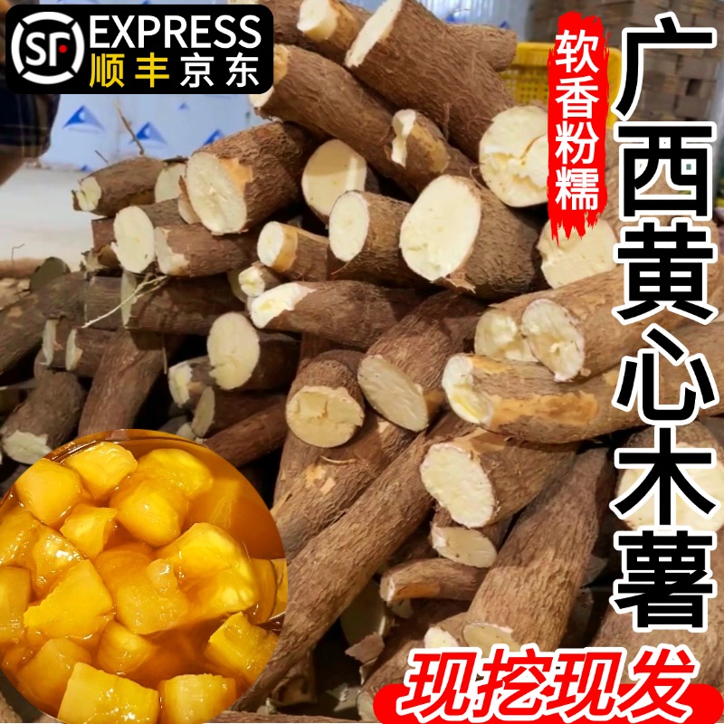 广西黄肉木薯新鲜现挖黄心蛋黄木薯糖水专用农家特产板栗蜜薯