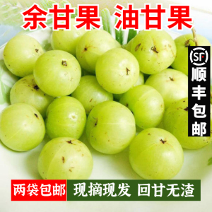 油甘果新鲜油柑牛甘子余甘果橄榄现摘水果当季整箱酸孕妇水果包邮