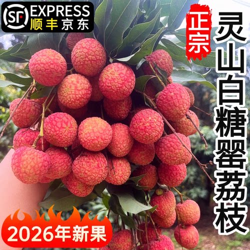 灵山白糖罂荔枝新鲜水果当季整箱广西桂1味糯米0糍纯甜顺丰空运