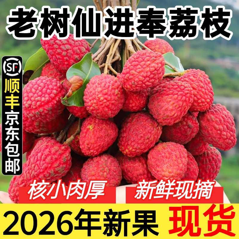 仙进奉荔枝新鲜灵山荔枝广西水果当季整箱特产糯米1糍顺丰核小
