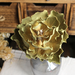 维多利亚干花真花进口花材永生花束装饰摆设插花大花小船果豆荚