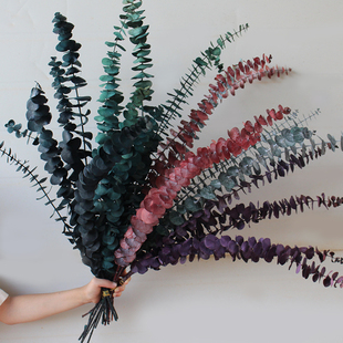 永生尤加利叶铜钱桉真花高档花艺插花婚庆家居店铺软装陈设干花束