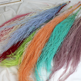 永生花 龙须草软装干花婚庆布景墙面倒挂花束天然真花家居装饰