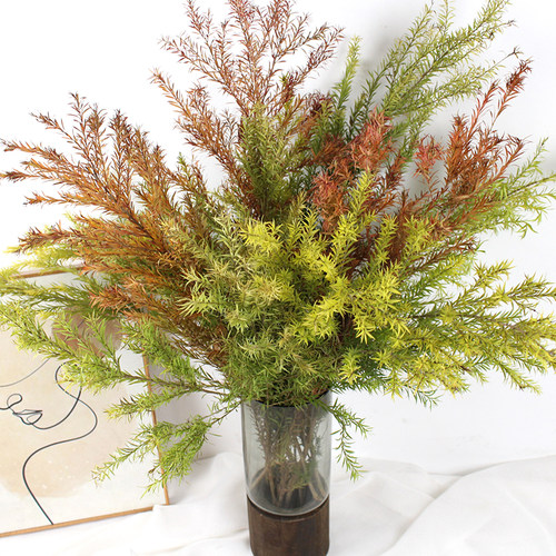 千层金真花干花自然风干树叶干枝