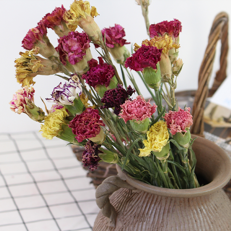 母亲节康乃馨干花云南干花花束真花插花配花diy花束花材一束10支 鲜花速递/花卉仿真/绿植园艺 干花 原图主图