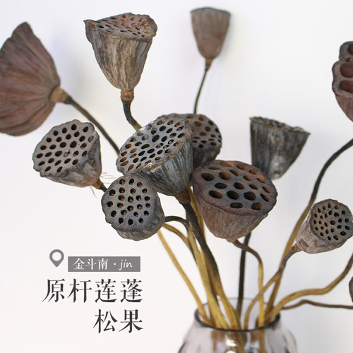莲蓬干花松果云南配花配果金斗南