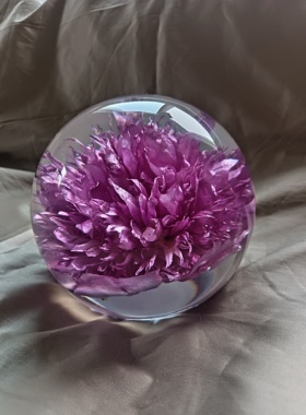 洛阳牡丹芍药鲜花标本夜灯保鲜花水晶球文化礼品摆件书房家居装饰