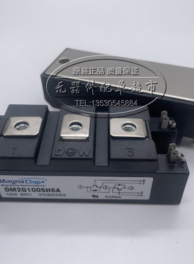 全新现货 DM2G100SH12A DM2G100SH12AE DM2G100SH6A