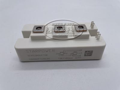 GD200HFY120C8SN GD200HFL120C8S原装