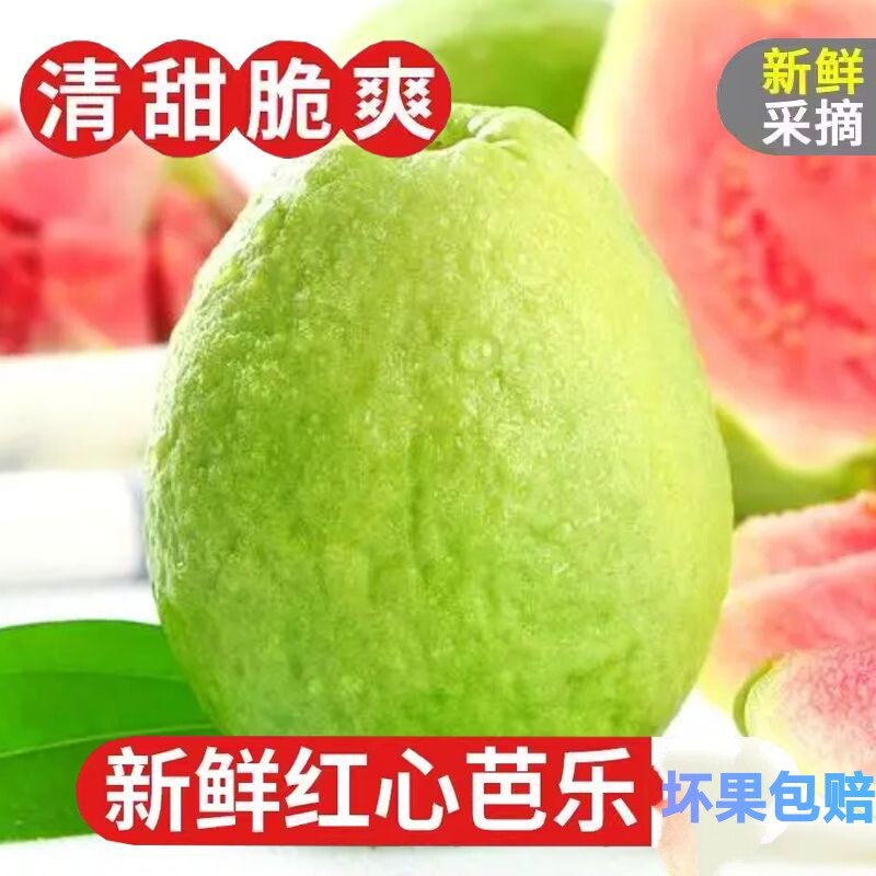【送酸梅粉】红心番石榴红心芭乐清脆当季孕妇水果新鲜5斤包邮