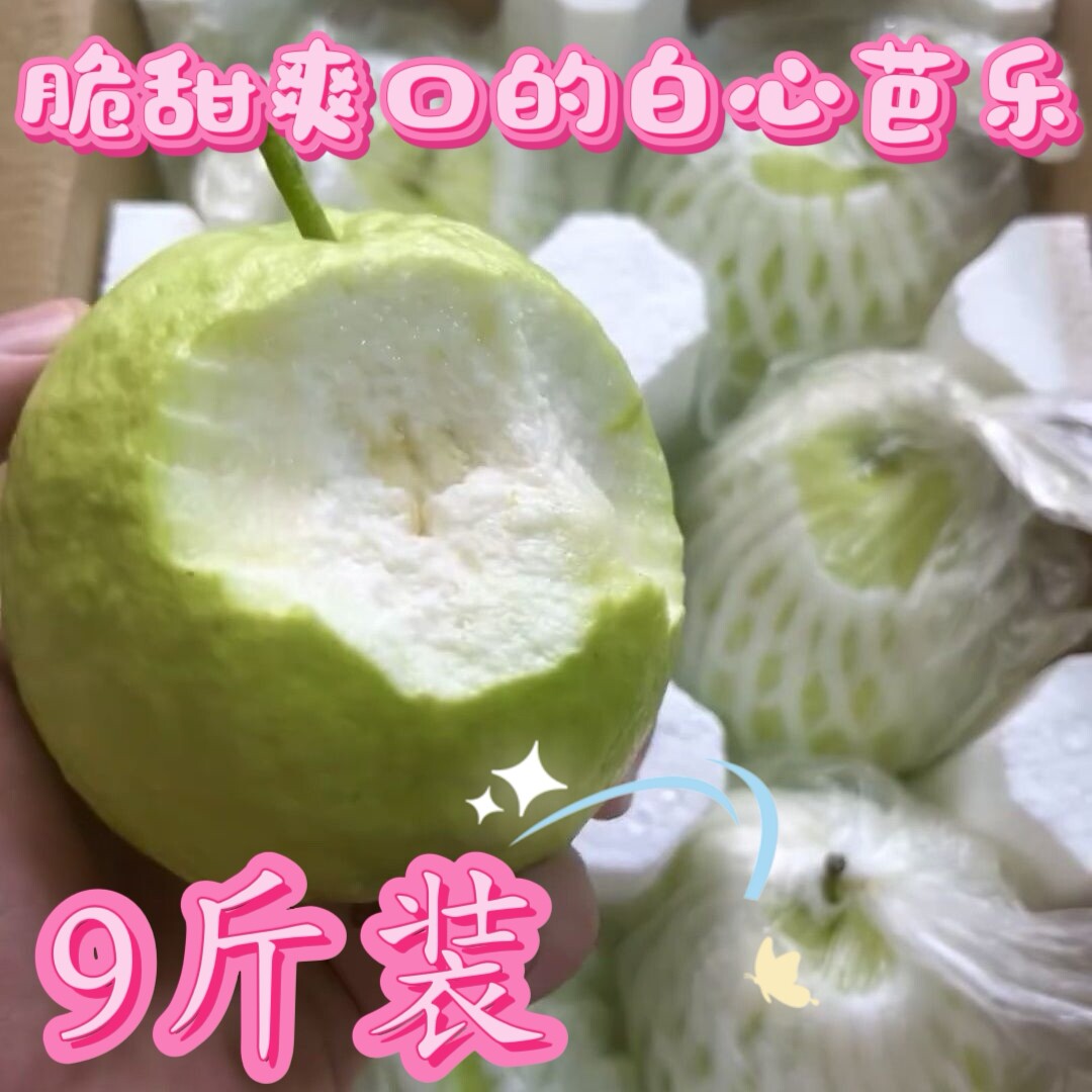现摘脆甜白心芭乐9斤包邮