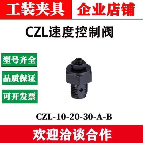 BZL速度控制阀CZL-10/20/30A/B A:进油节流 B：回流节流