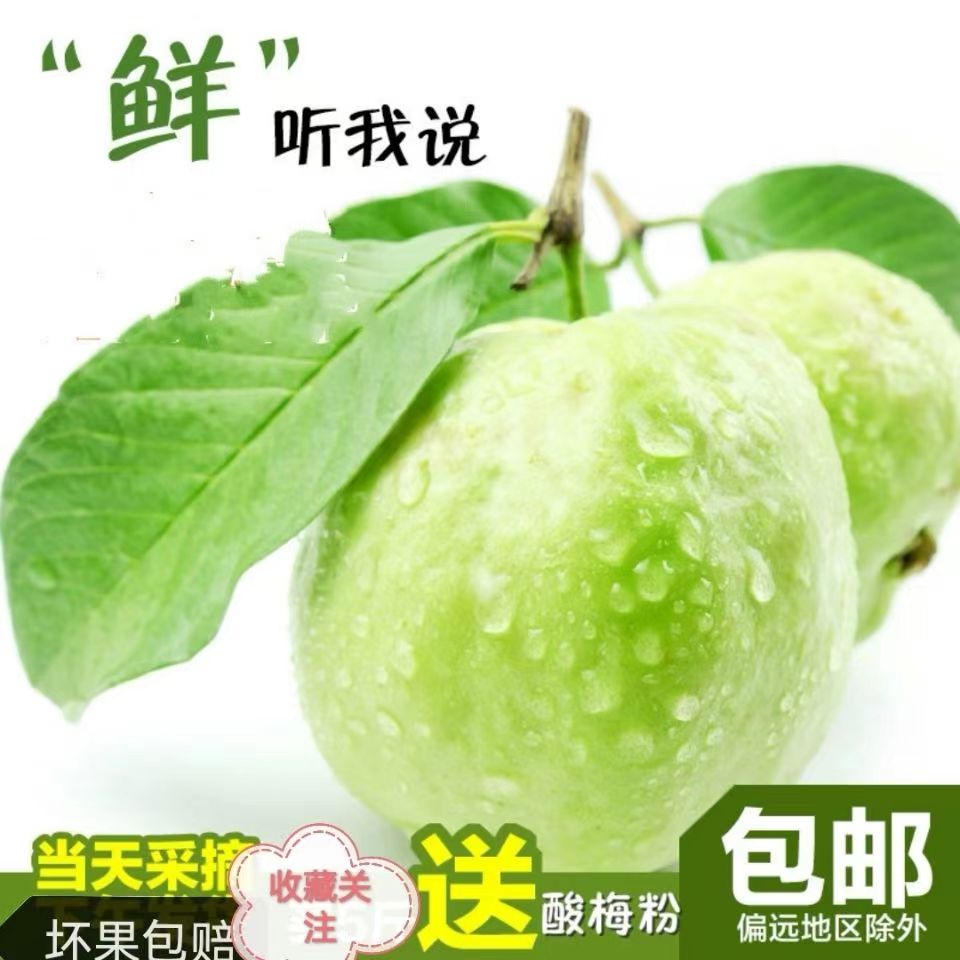 海南应季白心芭乐石榴