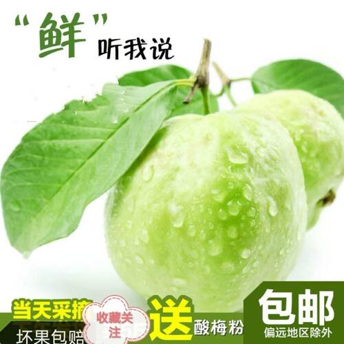 海南应季白心芭乐石榴