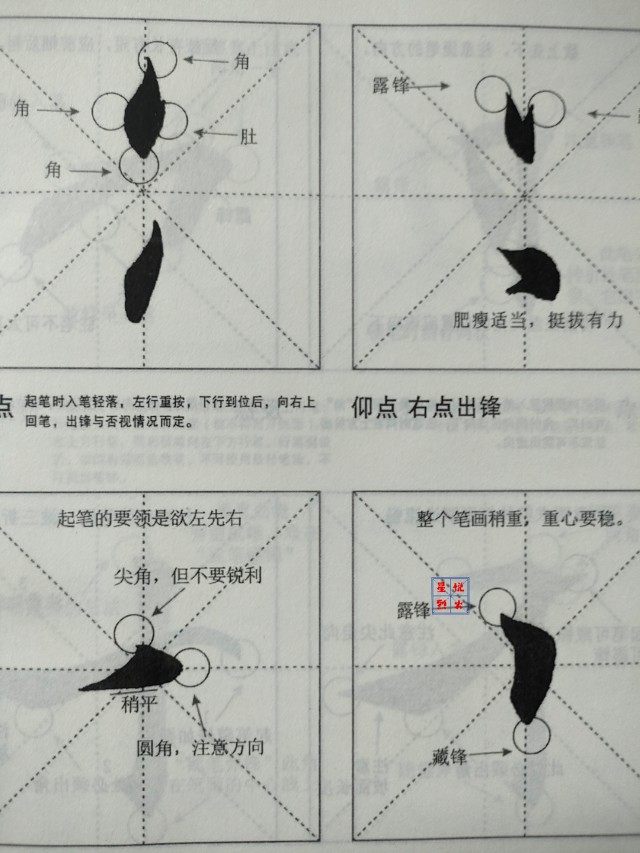 田楷精品42个笔画68个独体字160个偏旁例字20个作品临摹