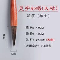 Дакай Шухао [Смотрите слово Румей]