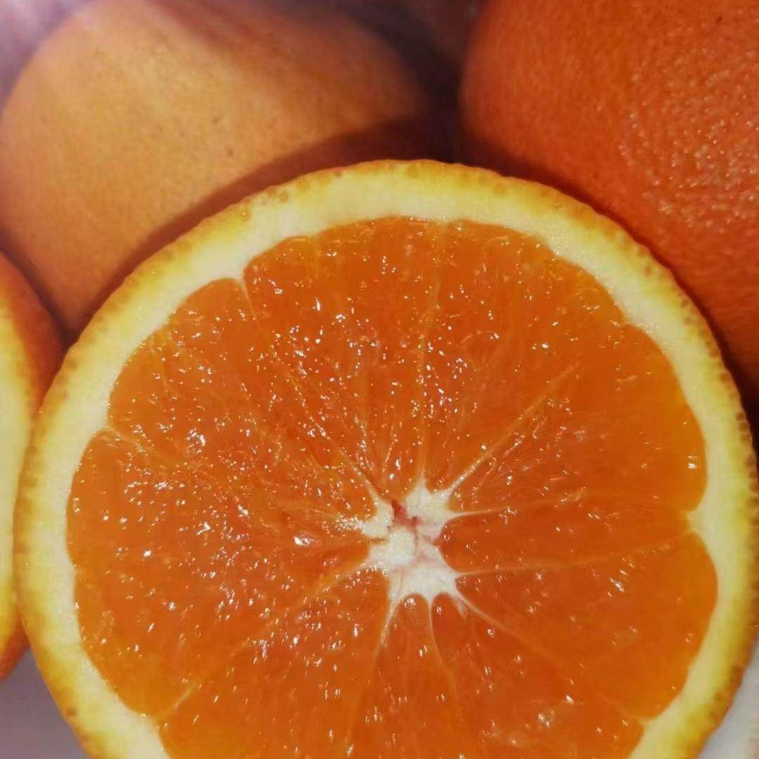 秭归九月红脐橙当季现摘10斤橙子新鲜水果爆汁纯甜整箱手剥果冻橙