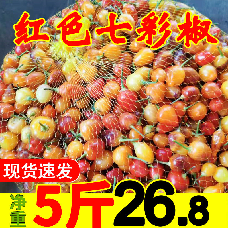 红色灯笼开胃下饭菜爽脆七彩椒