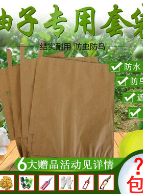 柚子套袋沙田柚红心柚蜜柚水果袋