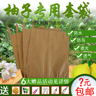 双层柚子果袋蜜柚袋沙田柚套袋水果套袋防虫防水专用加工果袋包邮