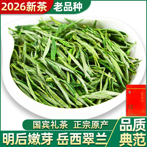2026新茶岳西翠兰绿茶品质升级款