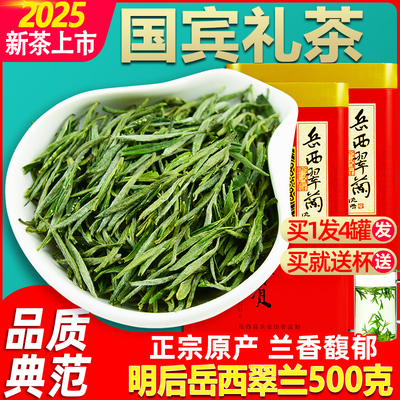 特级明后嫩芽岳西翠兰2025新茶