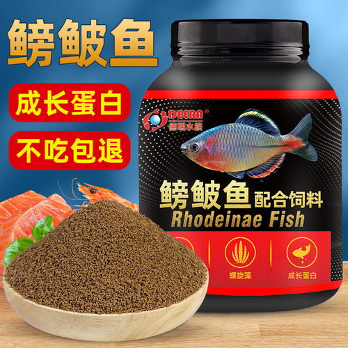 鳑鲏鱼饲料原生鱼旁皮鱼食