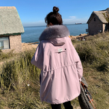 现货工装高克重加厚派克服297-8096-P195-K278，女装棉衣/棉服，艾艾淮淮