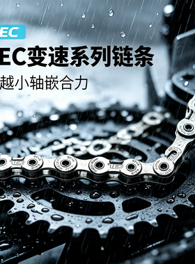 TEC变速链条8-12速C410C30单速专业山地车公路车通用电镀银链条