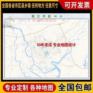 超大巨幅 阳江市区地图订制定做 城市城区海报2026新版装饰画芯