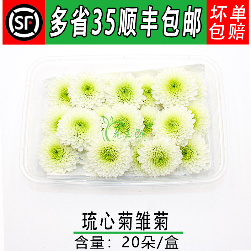 新鲜 菊花 彩菊 琉芯菊小雏菊酒店西餐摆盘装饰鲜花 蛋糕烘焙装饰