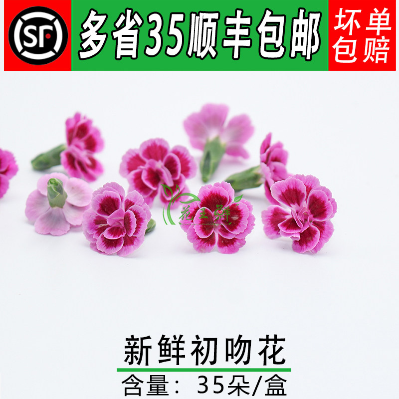 摆盘装饰鲜花 新鲜初吻花 小康乃馨向阳花 酒店冷艺摆盘装饰花草