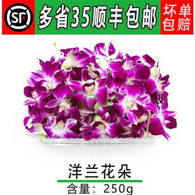 新鲜  杨兰花 洋兰花 花朵 石斛兰 酒店西餐摆菜盘装饰点缀