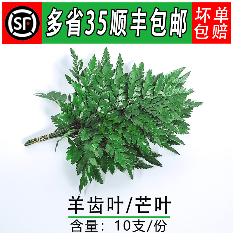 新鲜杨子叶高山羊齿酒店西餐烘焙