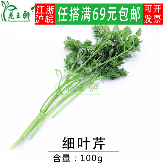 新鲜 细叶芹 香料蔬菜 西餐香料 酒店餐饮盘饰花草