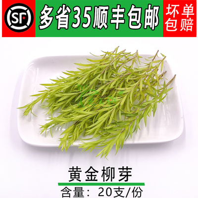 新鲜黄金柳芽酒店西餐装饰点缀