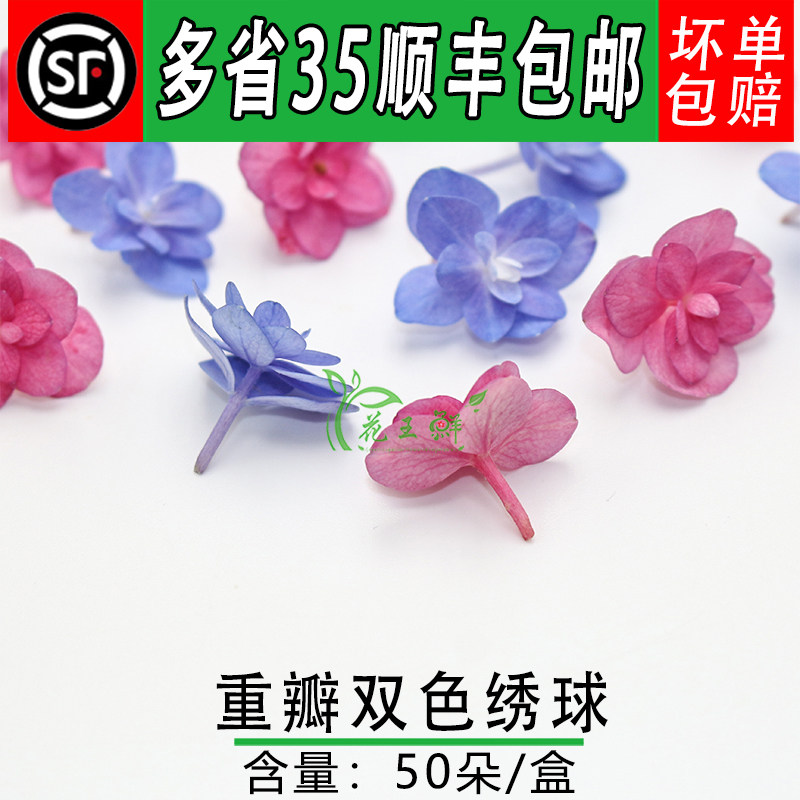 新鲜绣球花 重瓣绣球花 酒店饭店西餐冷艺摆盘装饰花草50朵/盒