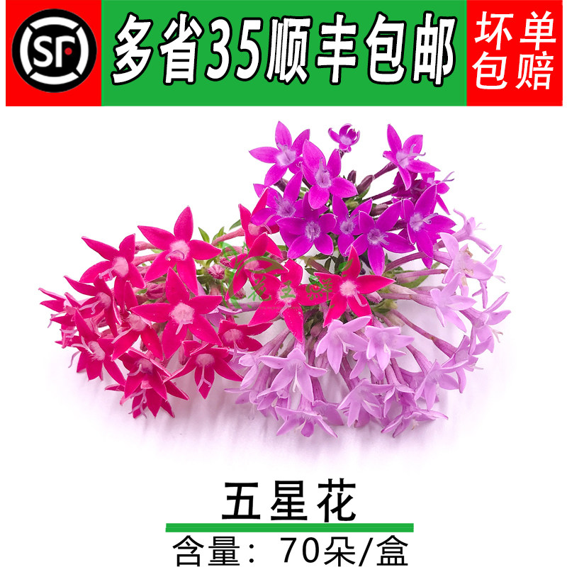 璀璨山蒜酒店冷菜点缀餐饮五星花