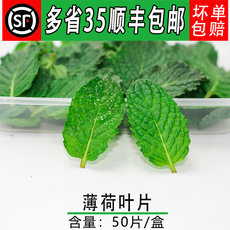 新鲜薄荷叶片西餐日料烘焙酒店餐厅饮品摆盘装饰点缀花草叶