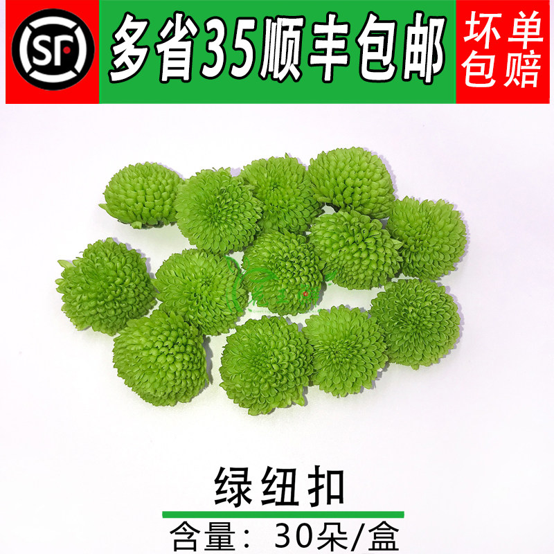 新鲜绿色小菊花 绿彩菊 小雏菊 酒店西餐摆盘装饰鲜花 绿球菊30朵