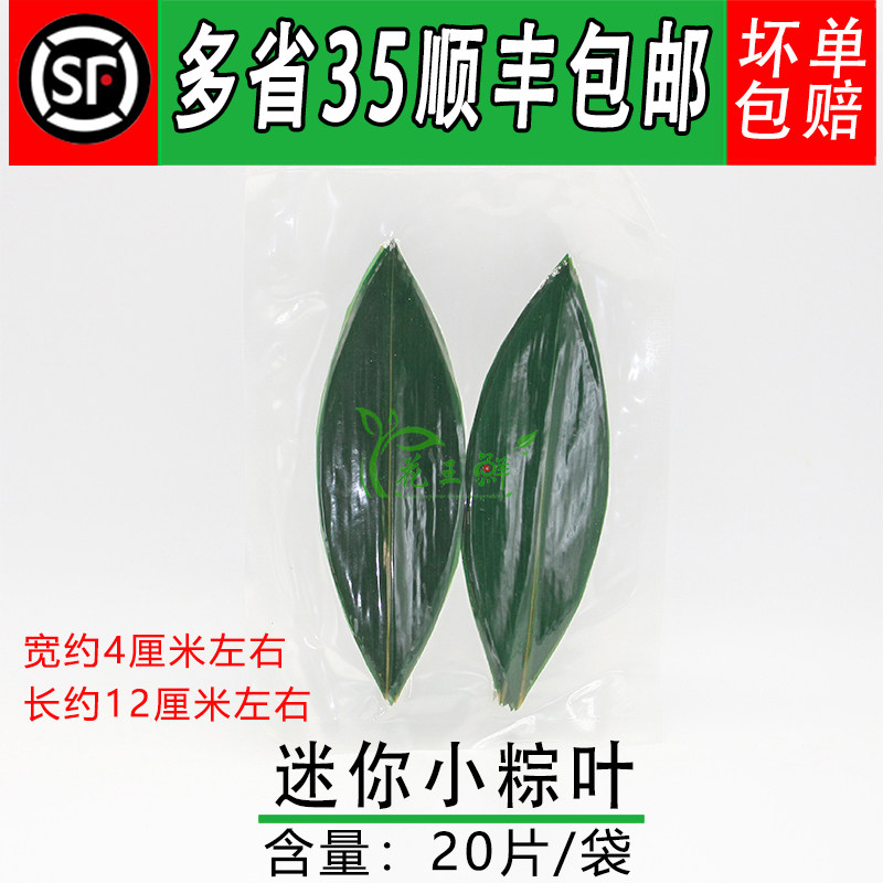 新鲜粽叶迷你小粽叶摆盘装饰