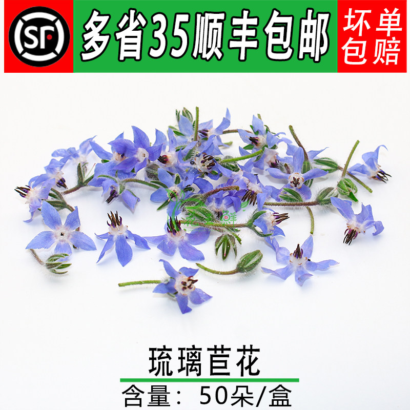 新鲜60朵火锅西餐摆盘点缀琉璃苣
