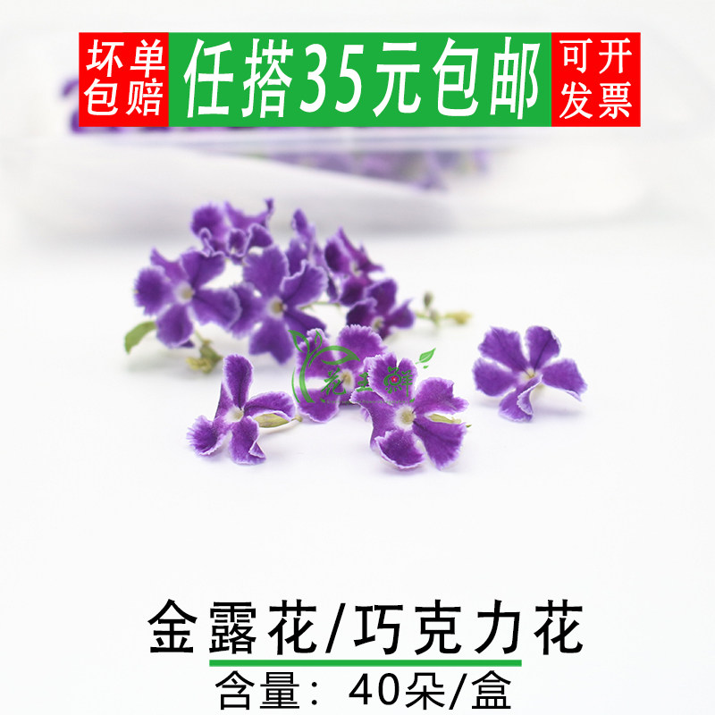 巧克力花酒店摆盘烘焙点缀花草