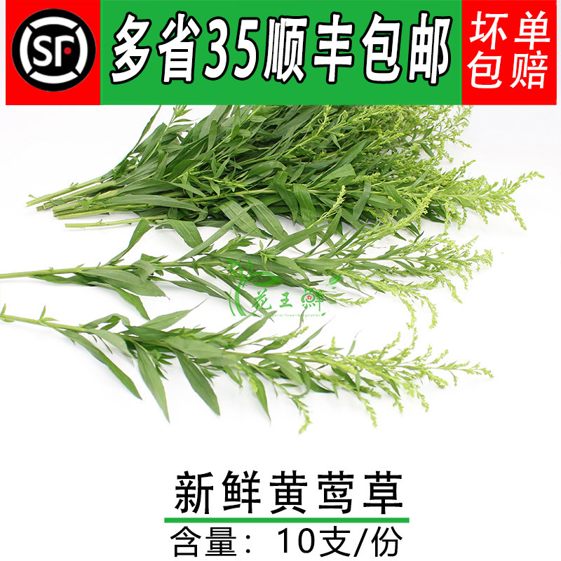 黄莺草摆盘装饰点缀花草