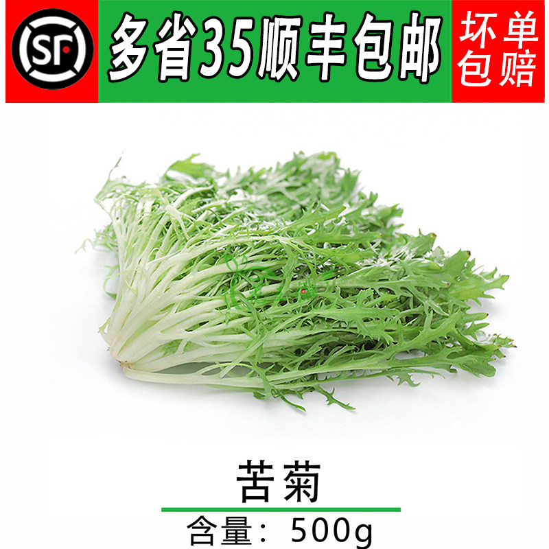 新鲜蔬菜 苦菊 苦叶生菜 狗芽生菜 蔬菜沙拉 500g