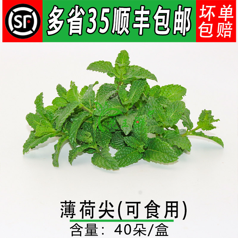 可食用蛋糕装饰鲜花草套餐迷迭香薄荷莳萝荷兰芹玫瑰烘焙摆盘合集