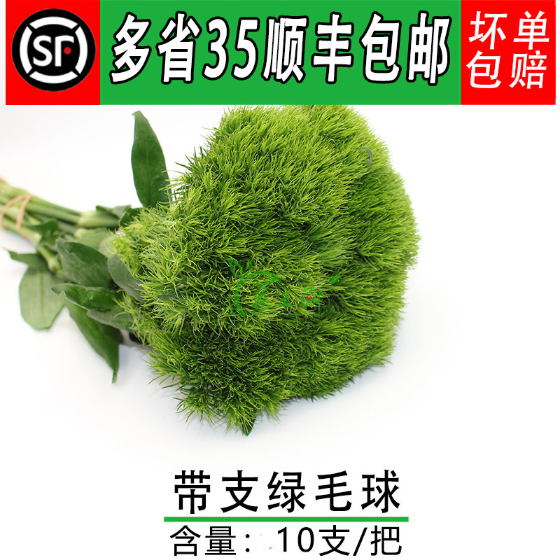 新鲜绿毛球摆盘装饰点缀