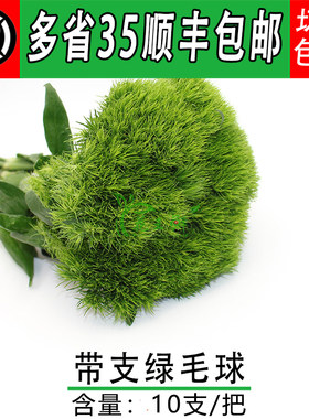 新鲜绿毛球摆盘装饰点缀
