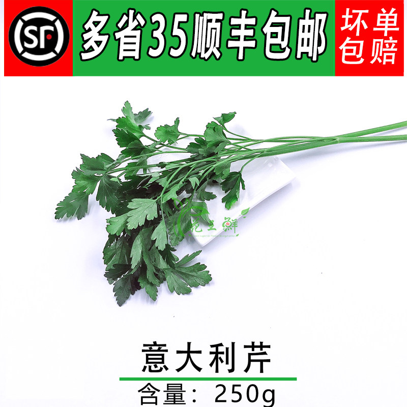 新鲜法国香芹 意大利芹 巴西里香料 欧芹 250g