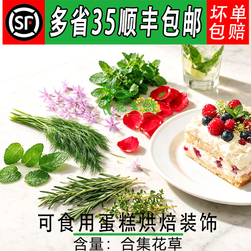 可食用蛋糕装饰鲜花草套餐迷迭香薄荷莳萝荷兰芹玫瑰烘焙摆盘合集